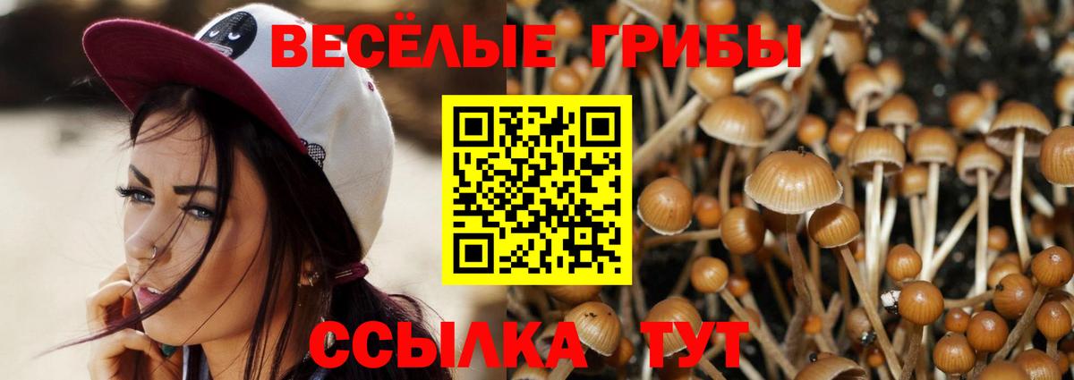 Ногинск  Псилоцибиновые грибы мицелий  Галлюциногенные грибы GOLDEN TEACHER  Вход с VPN 